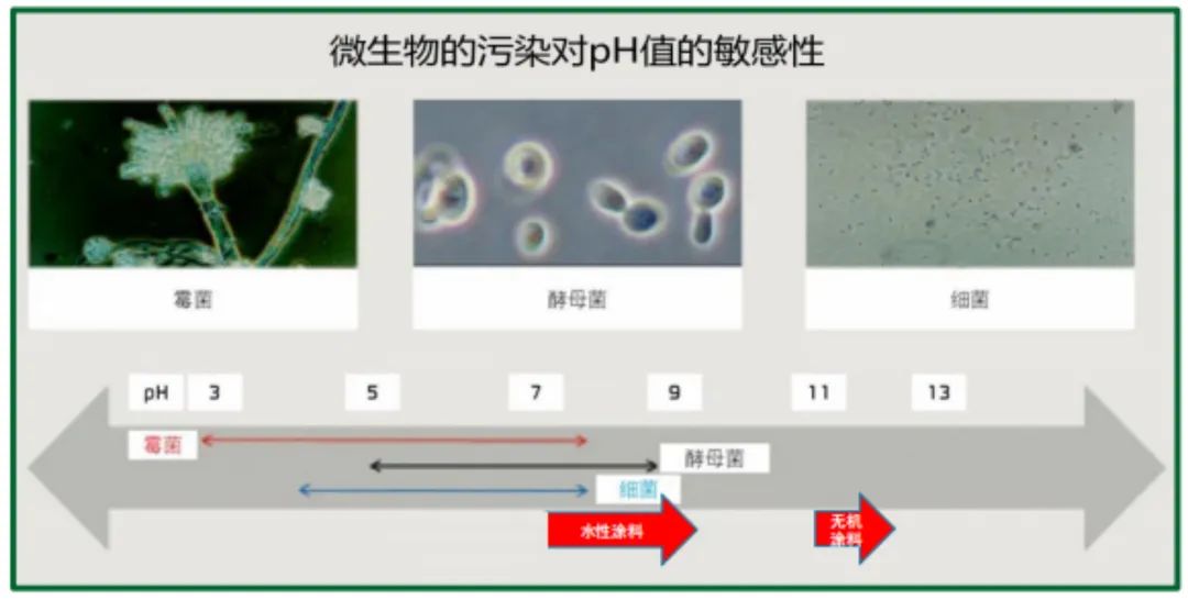 久諾高效無(wú)機(jī)涂料抗菌